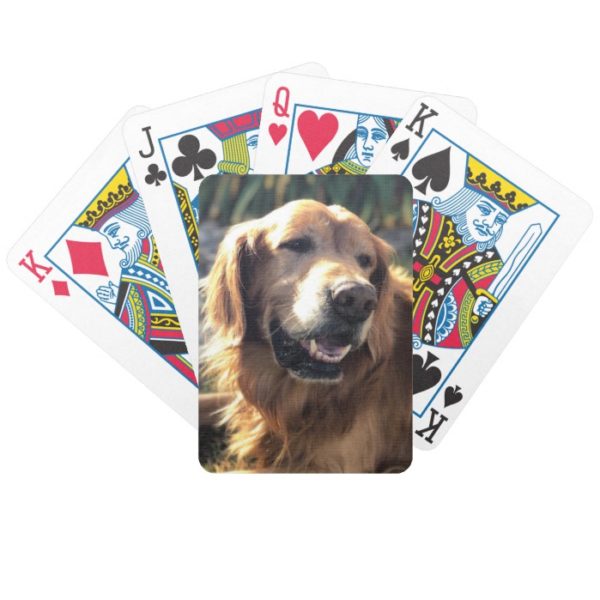 Golden Retriever Playing Cards