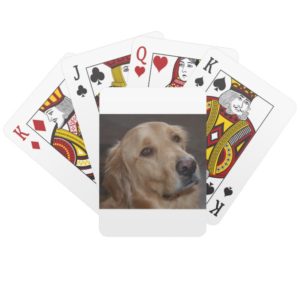Golden Retriever Playing Cards