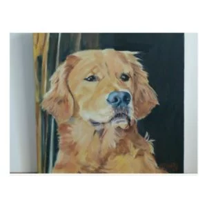 Golden Retriever Postcard