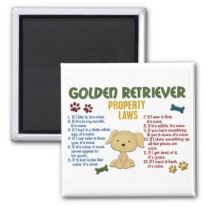 Golden Retriever Property Laws 4 Magnet