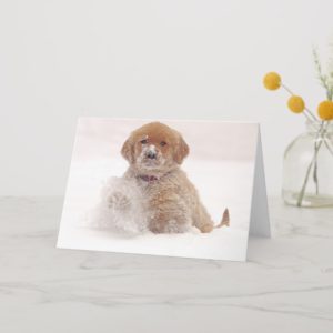 Golden Retriever Pup in Snow Card