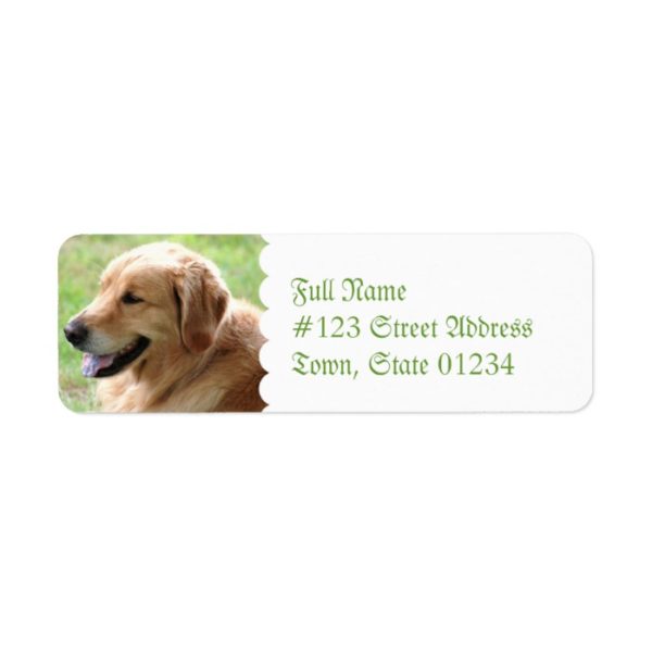 Golden Retriever Pup Return Address Mailing Labels