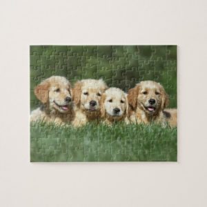 Golden Retriever Puppies Jigsaw Puzzle