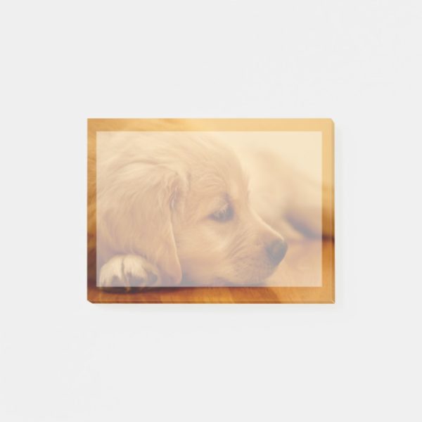 Golden Retriever Puppy Antoine Melancholy I Post-it Notes