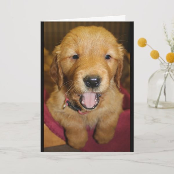 Golden Retriever Puppy Any Occasion Card