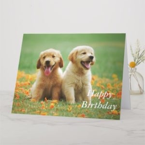 Golden retriever puppy cute custom birthday card