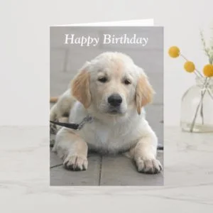 Golden Retriever puppy cute photo birthday card