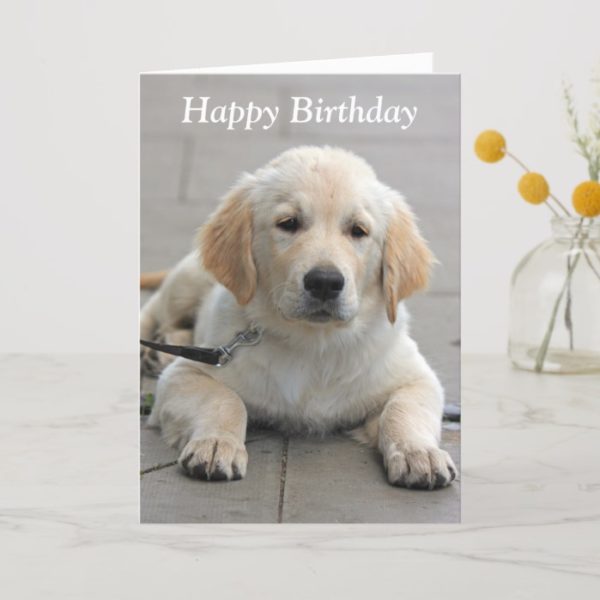 Golden Retriever puppy cute photo birthday card