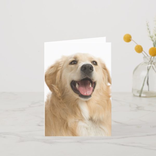 Golden Retriever Puppy Dog Blank Greeting Notecard