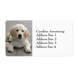 Golden Retriever puppy dog custom address labels