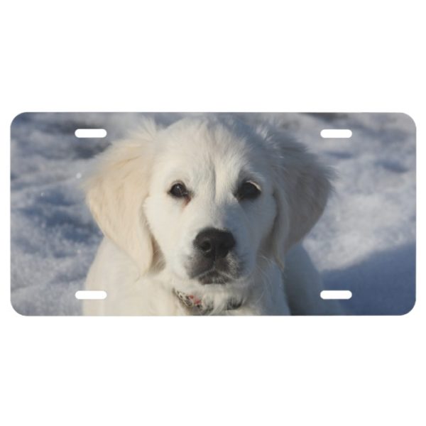 Golden Retriever Puppy Dog License Plate