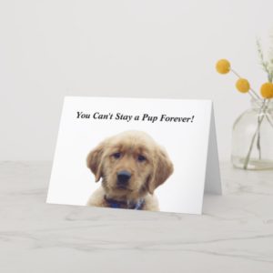 Golden Retriever Puppy Graduation Card