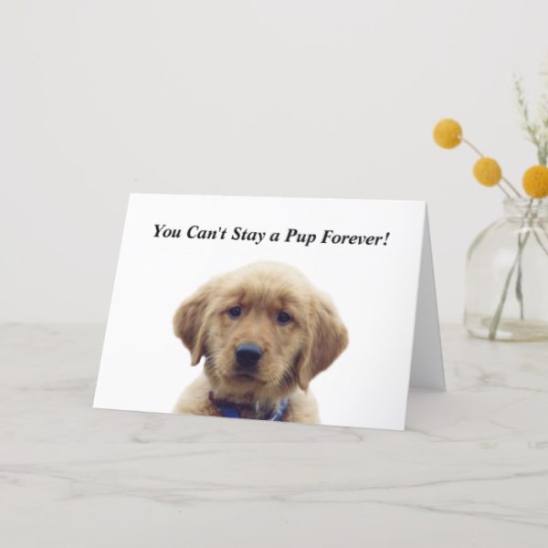 Golden Retriever Puppy Graduation Card