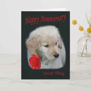 Golden Retriever Puppy Happy Anniversary Card