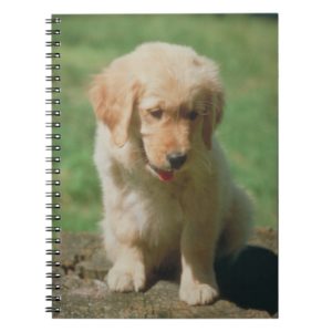 Golden Retriever Puppy Notebook