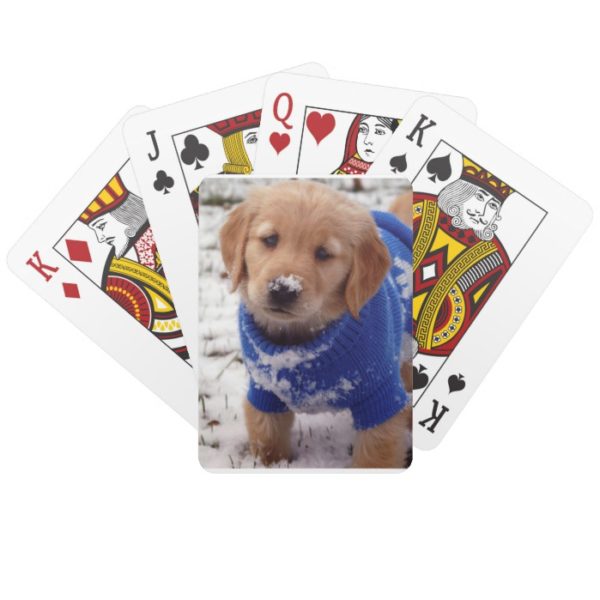 Golden Retriever Puppy Playing Cards