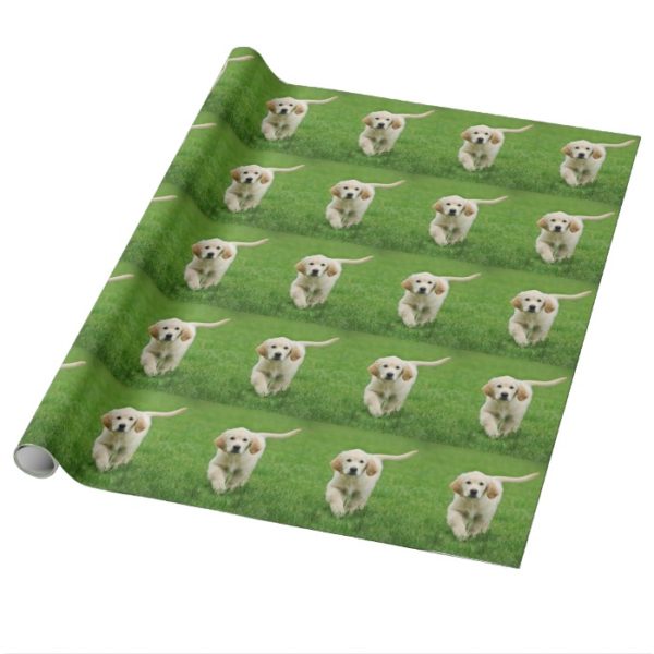 Golden retriever puppy wrapping paper