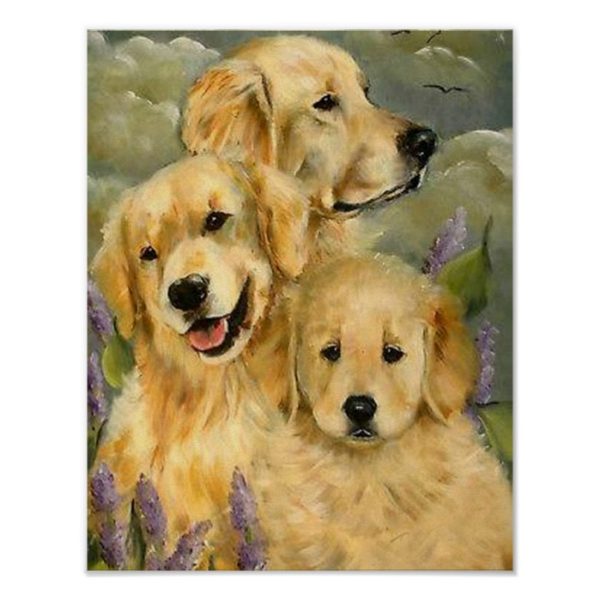 Golden Retriever Pups Poster