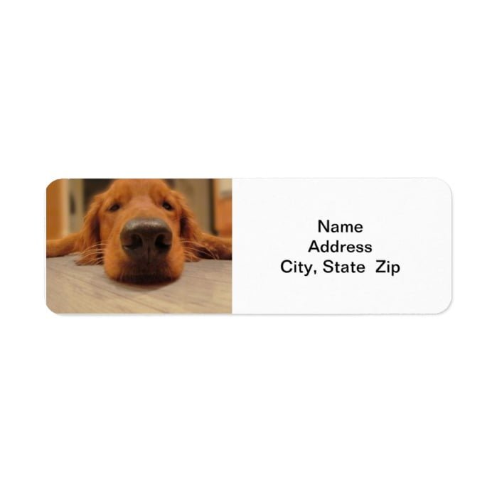 Golden Retriever Return Address Label,  Nose Label