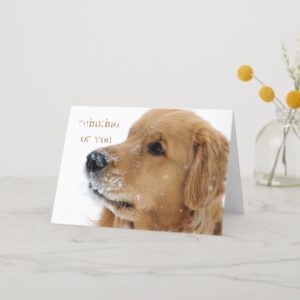 Golden Retriever Snow Dog Thinking of You Card