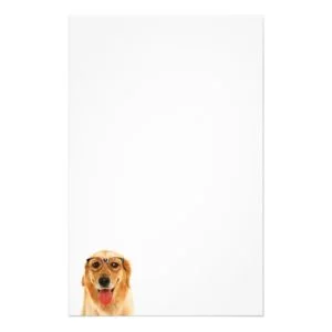 Golden Retriever Stationery