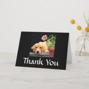 Golden Retriever Thank You Card Flower