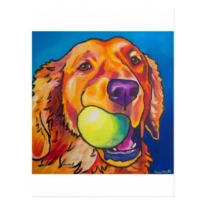 Golden Retriever with ball Postcard