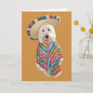 Goldendoodle Cinco de Mayo card