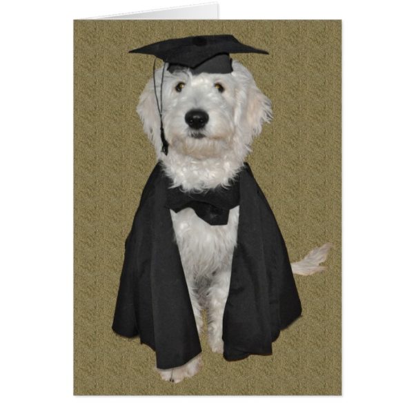 Goldendoodle Graduation Card