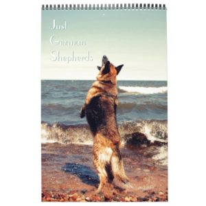 Gorgeous German Shepherd Calendar
