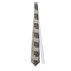 Gorgeous Weimaraner Neck Tie