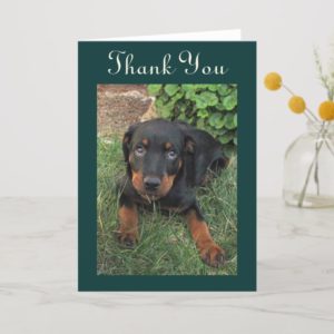 Guilty Rottweiler Puppy Thank You Card