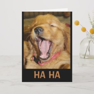 HA HA You're Older Than Me Laughing Puppy Card