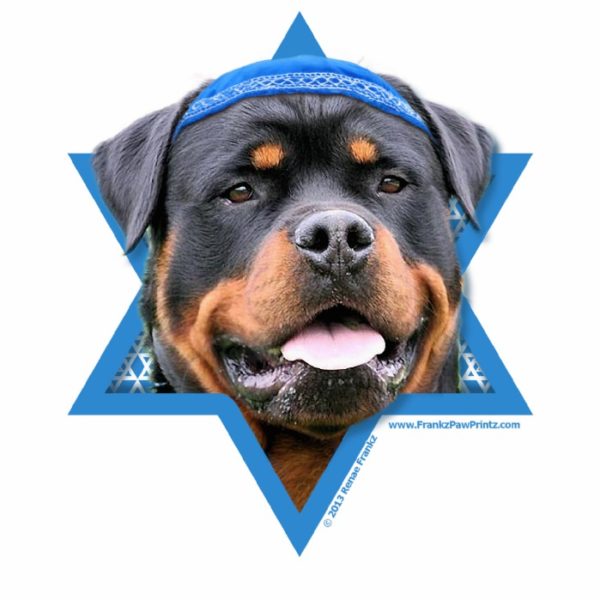 Hanukkah Star of David - Rottweiler Statuette
