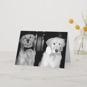 Happy Anniversary! Card
