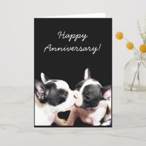 Happy Anniversary French bulldog greeting card