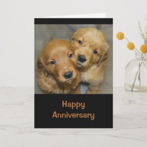 Happy Anniversary To A Dog-Gone Cute Couple Card