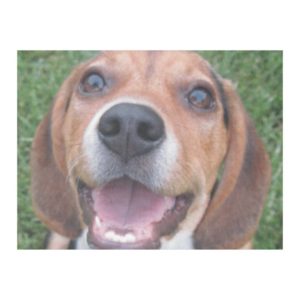 Happy Beagle Smiling Fleece Blanket