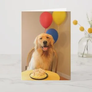 Happy Birthday Balloons Card