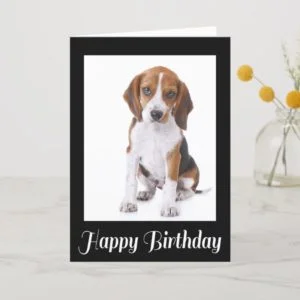 Happy Birthday Beagle Puppy Dog Greeting Card