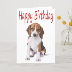 Happy Birthday Beagle Puppy Dog Greeting Card
