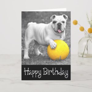 Happy Birthday English Bulldog Puppy Dog Card