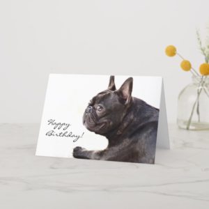 Happy Birthday French Bulldog card
