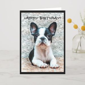Happy Birthday French Bulldog greeting card