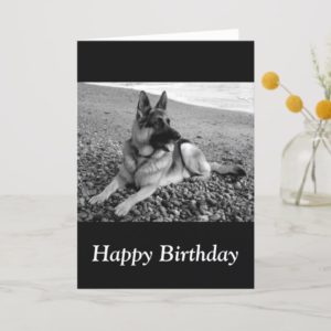 Happy Birthday German Shepherd Puppy Dog Card