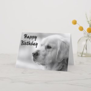 Happy Birthday Golden Retriever Puppy Dog Card