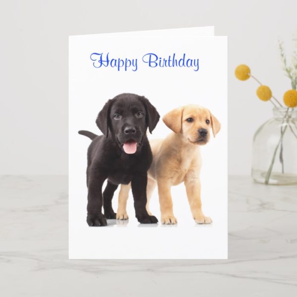 Happy Birthday Labrador Retriever Puppies Card