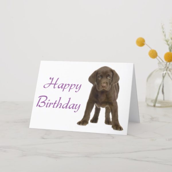 Happy Birthday Labrador Retriever Puppy Dog Card