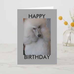 Happy Birthday Poodle Card