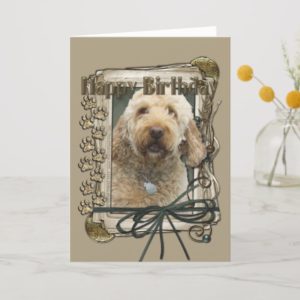 Happy Birthday - Stone Paws - GoldenDoodle Card